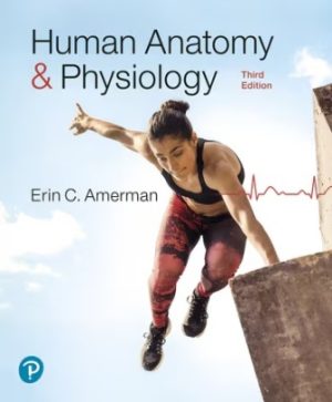 Human Anatomy and Physiology 3rd edition Amerman TEST BANK